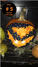 Carved Pumpkin (Ages 12 and Under) Entry 5 - Venice Master
