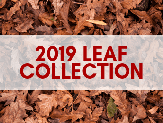 Leaf Collection