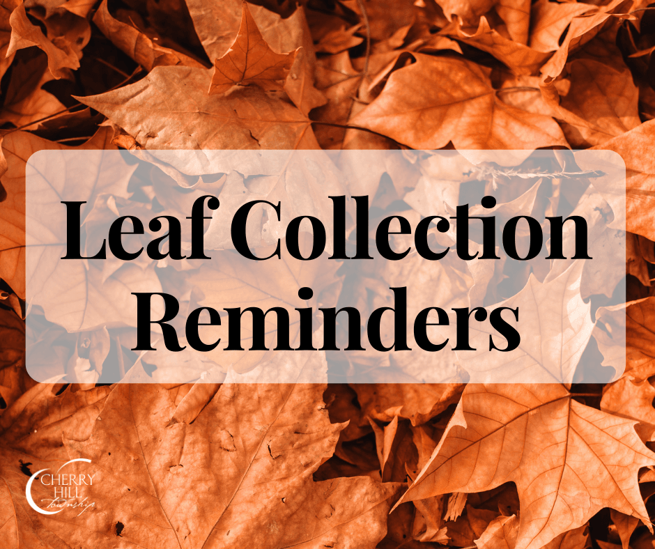 Leaf Collection Reminder