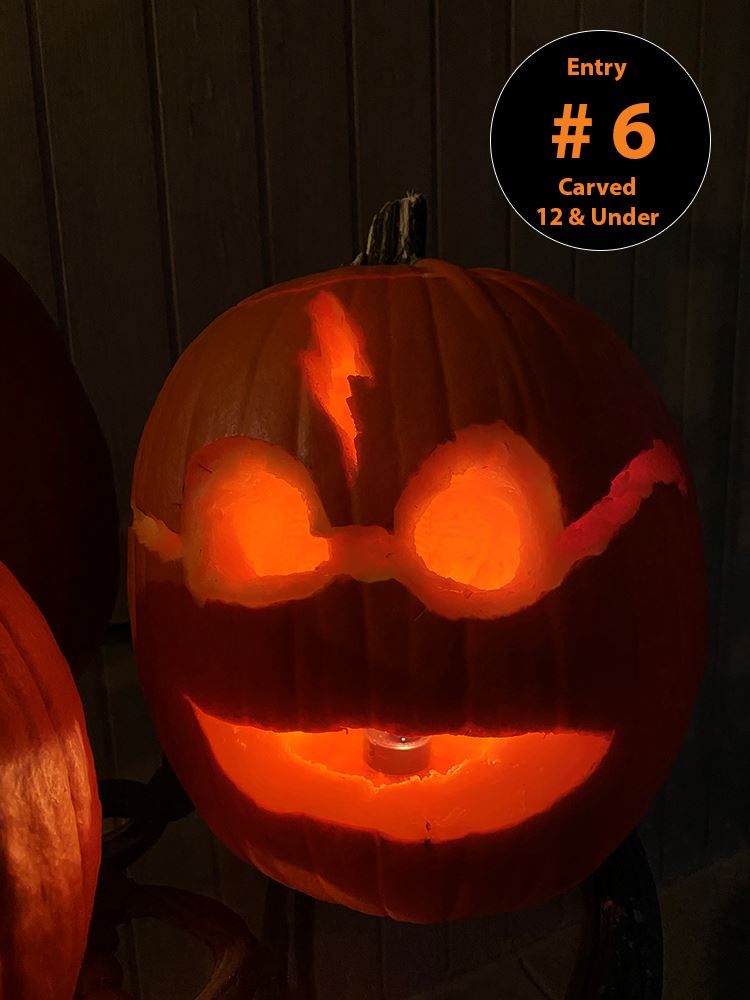 Carved Pumpkin (Ages 12 and Under) Entry 6 - Nicholas Tripolitis