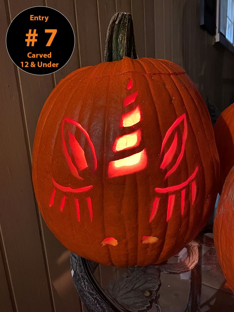Carved Pumpkin (Ages 12 and Under) Entry 7 - Annie Tripolitis