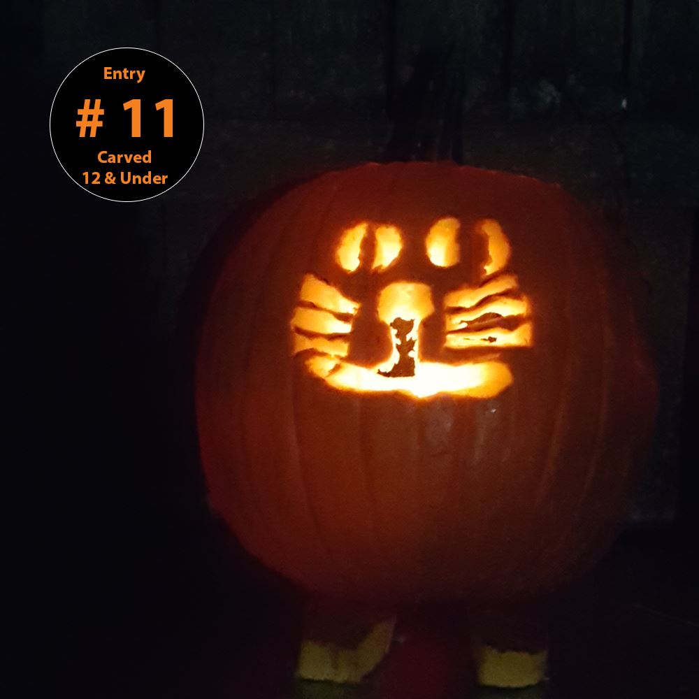 Carved Pumpkin (Ages 12 and Under) Entry 11 - Emily Marshall