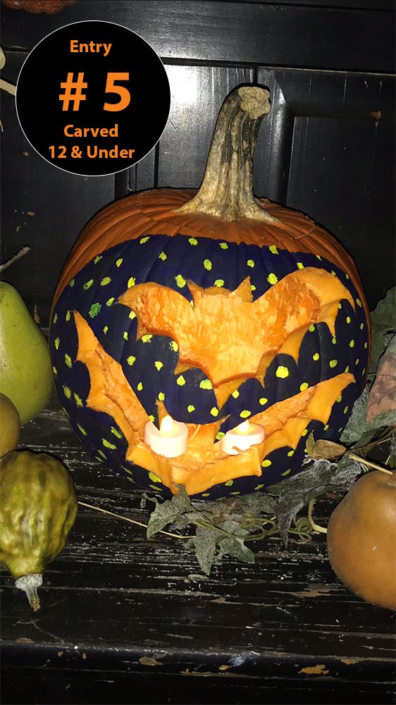 Carved Pumpkin (Ages 12 and Under) Entry 5 - Venice Master