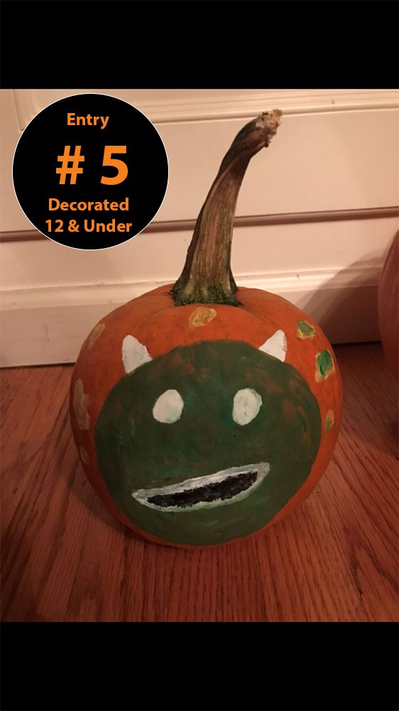 Decorated Pumpkins (Ages 12 and Under) Entry 5 - John Master