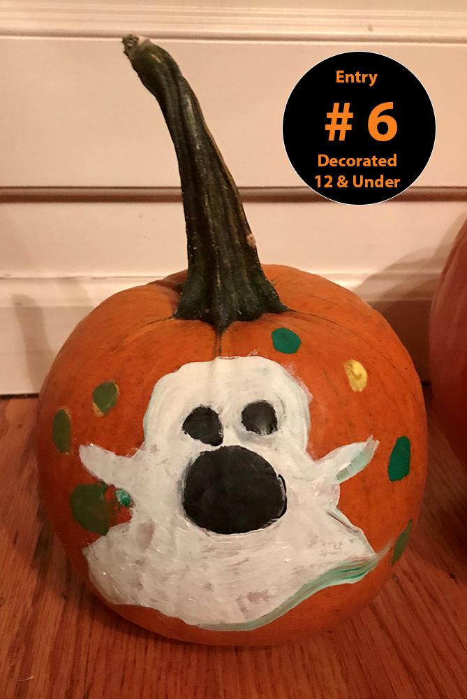 Decorated Pumpkins (Ages 12 and Under) Entry 6 - John Matser