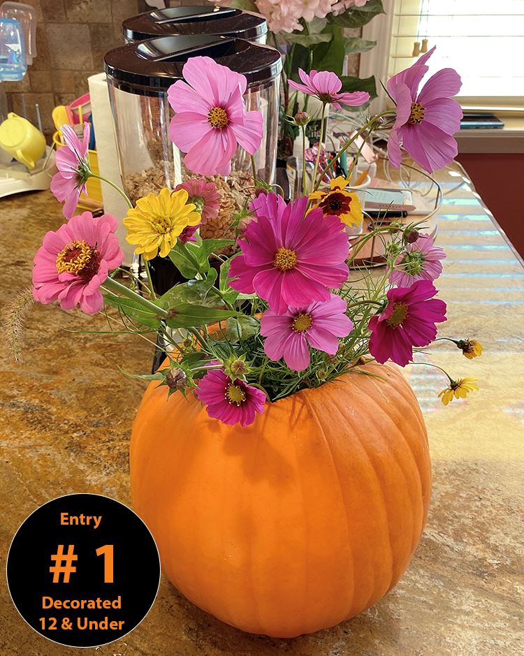 Decorated Pumpkins (Ages 12 and Under) Entry 1 - Jessica