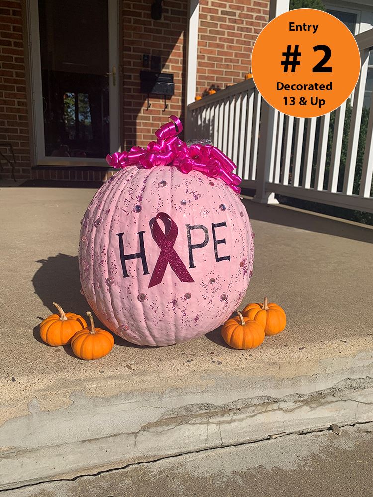 Decorated Pumpkins (Ages 13 +) Entry 2 - Tammy Habina