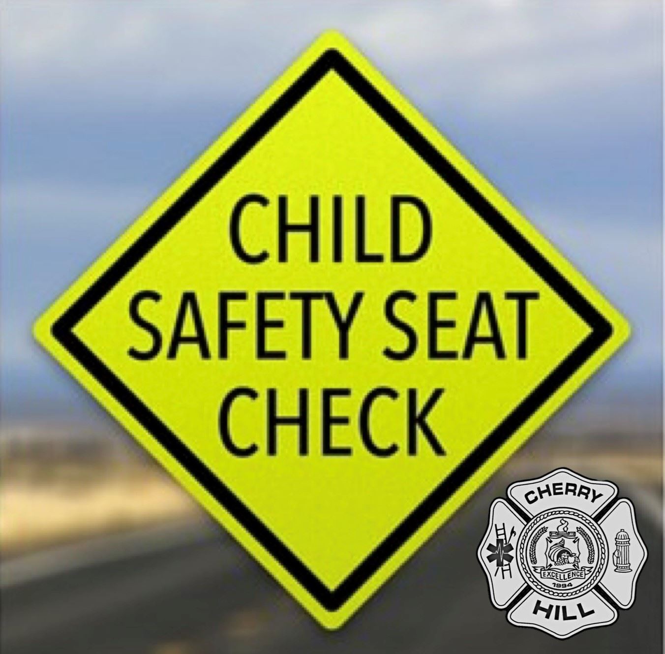 Car Seat Installation